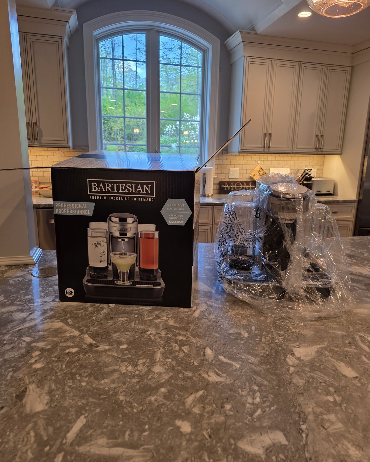 Sealed Bartesian Professional box on a kitchen island next to the plastic-wrapped machine just lifted out, evening light through an arched window, marble counter